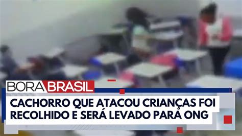 aluna cachorra|Aluna é atacada por cachorro dentro da sala de aula。